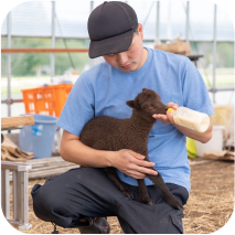 横に流れていく牧場主の写真