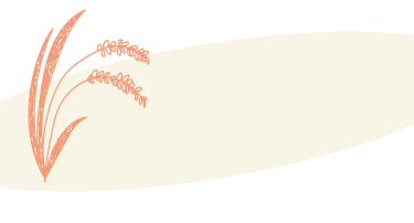 ベージュの背景と稲のイラスト